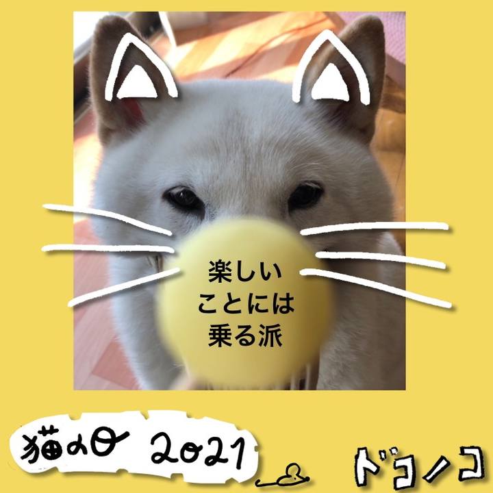 E9a44d46 7160 4660 b159 9804ae02f225 1614041197001