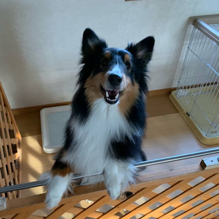 E9a45702 3ede 479f a1f9 410318e26ed4 1553206765810