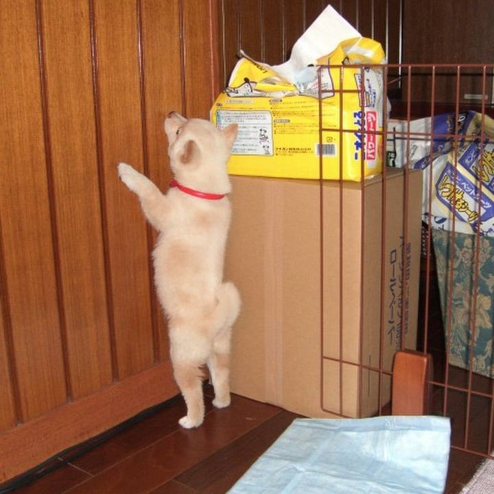 E9a45e4b 0ff9 4334 a677 63c83470281f 1638429700022