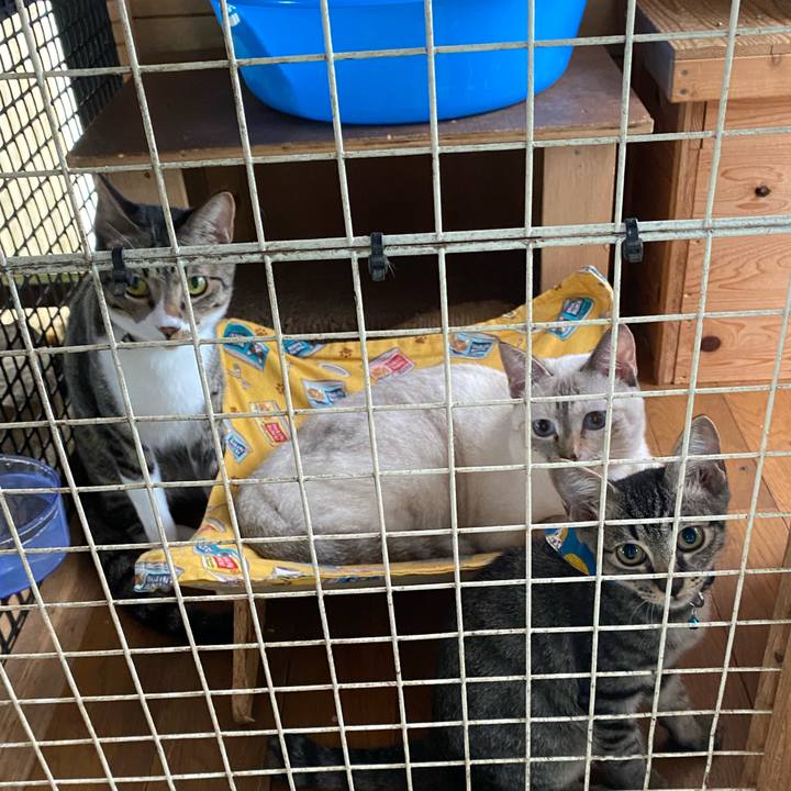 E9a4686e d76f 432c 8772 f3f4d6c72f5a 1660865809694