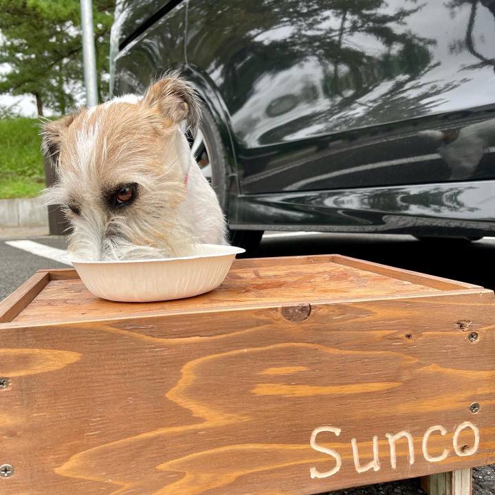 E9a47a44 bf46 4c31 aa52 ff3b9e16c703 1663482830080