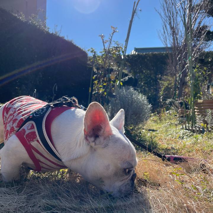 E9a47b52 4f97 456d b71d 1171d2753627 1736550645918