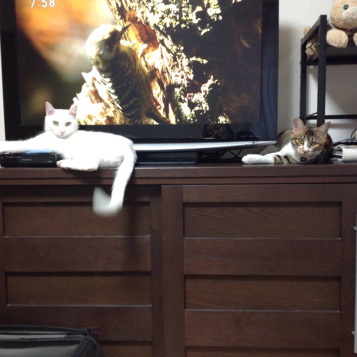 E9a49eb0 fddd 450c b97d 0b7d52a0f2da 1639868541428