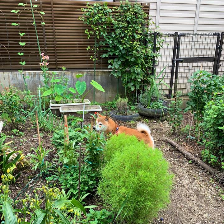 E9a49f7d 1e19 418a bd2e 5b20b5c3ad66 1628766369675