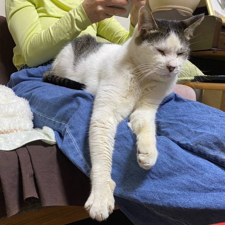 E9a4ae68 4ca0 41e6 9830 5242cb59f3ad 1775313704693