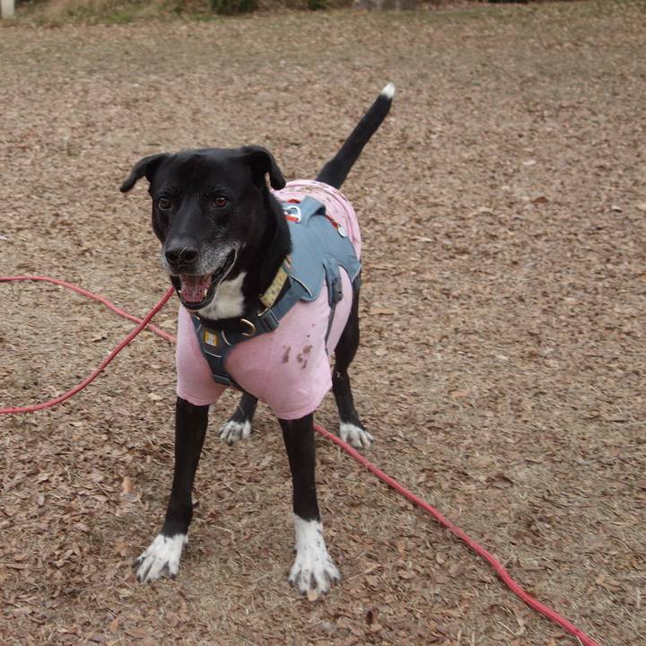 E9a4b95b cc6a 4e19 a522 1eff140f461b 1705625023679