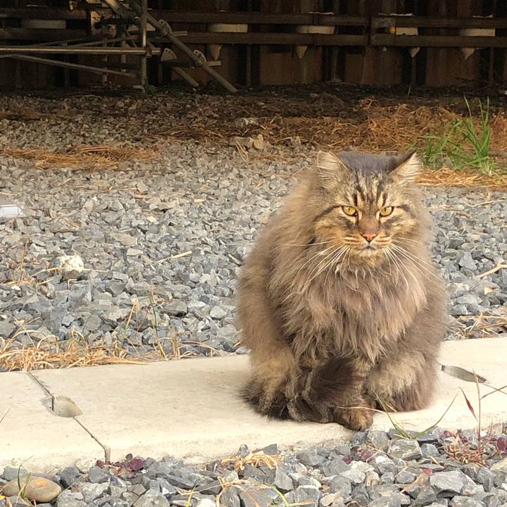 E9a4d7f8 c1c1 4eae 9753 d8b0fbd18c11 1550220225200