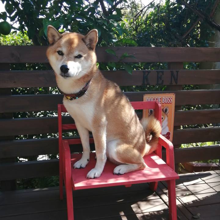 E9a4decc 3027 471c 8184 04d903cf43be 1666145088455