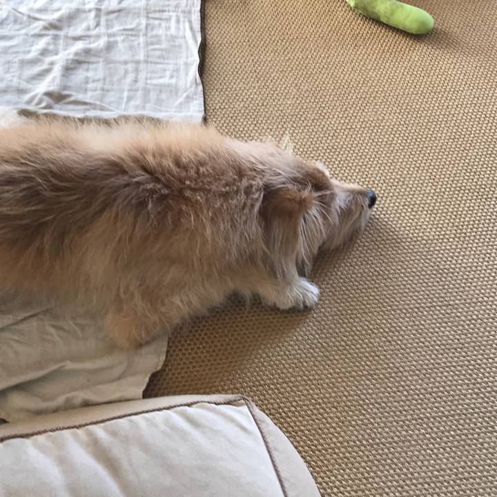 E9a4f936 f238 4c25 af88 8f59afe7ed2e 1548814677277