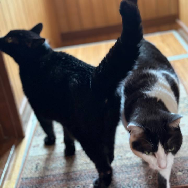 E9a5191b 1701 4873 8e61 f7be3ce6f4b4 1684112701975