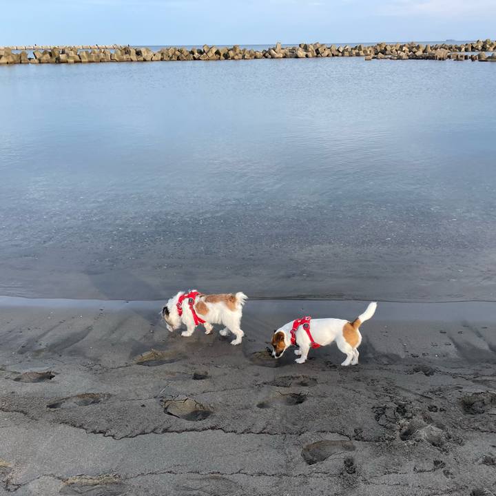 E9a52cb5 2777 42f5 90ec e54f755e64c6 1668298056025