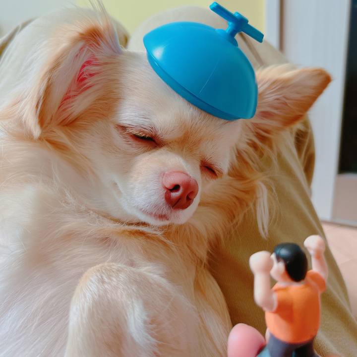 E9a52f0c 0242 461c 99c9 4fabf518c62d 1650789447997