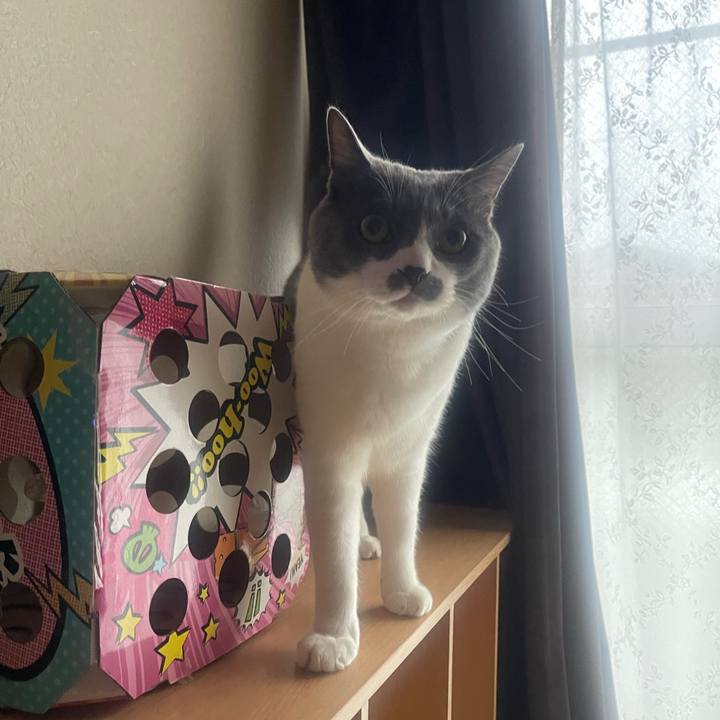 E9a56c38 88d1 4e08 86d7 8ec1d3f95046 1725060928663