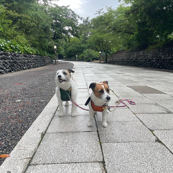 E9a5cf28 35d4 4b04 bfca e2366043c118 1720481428155