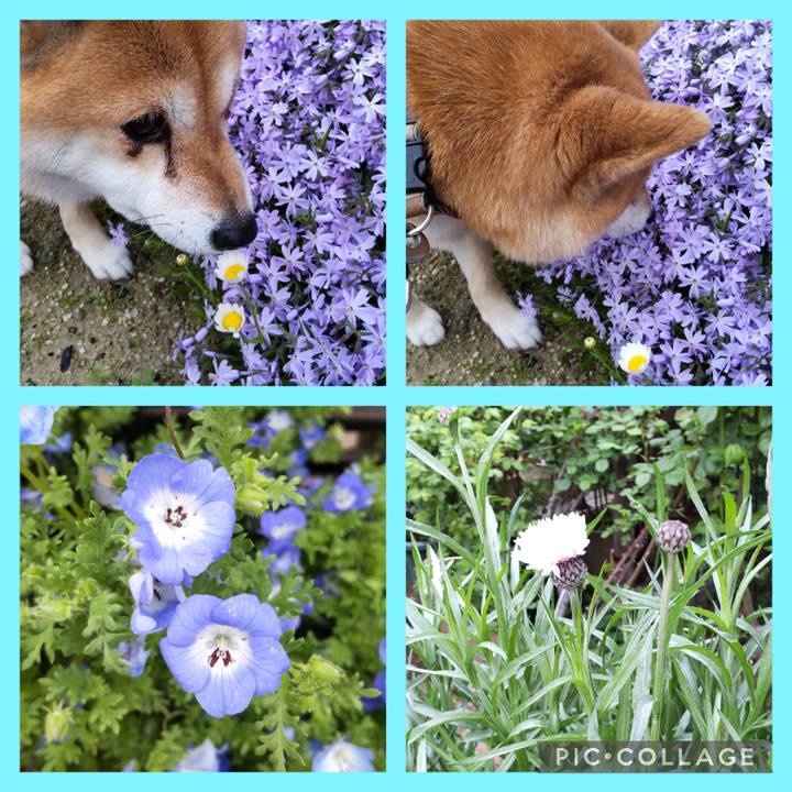 E9a5e2d7 b07d 483d aee0 0ee3d3ad070e 1745016950090