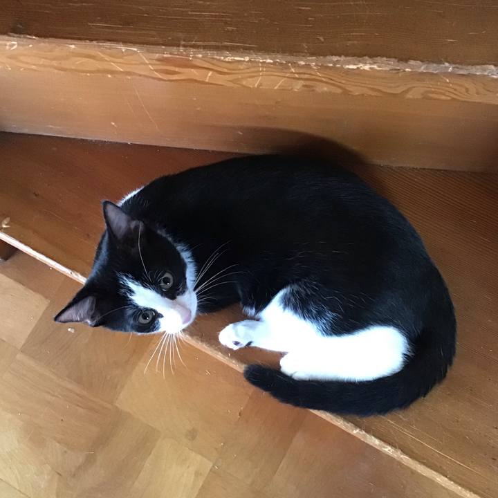 E9a5e417 5087 4954 b08c 45d4992243af 1629277793528