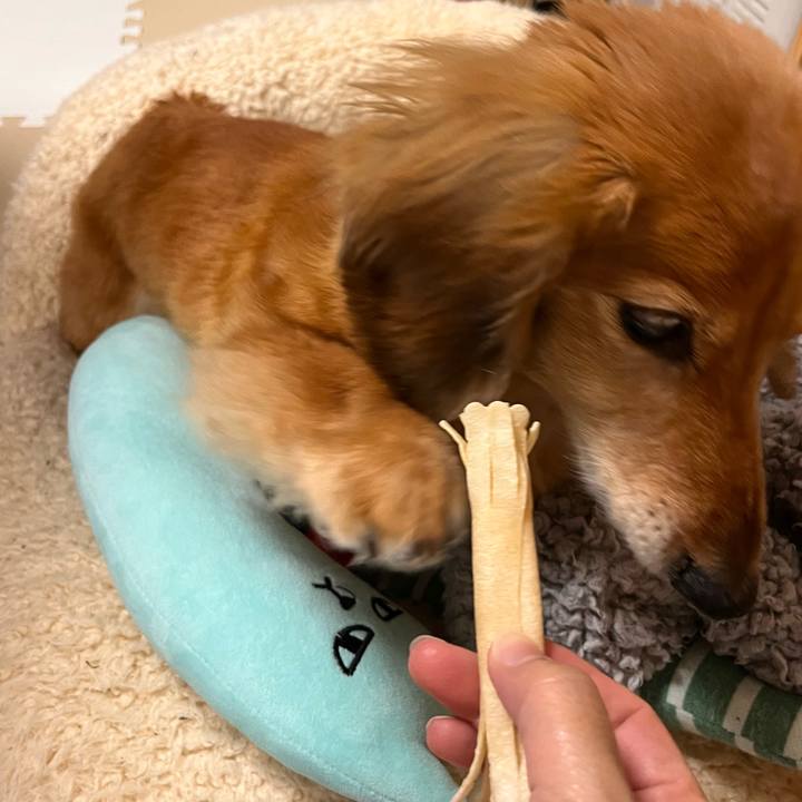 E9a6014f cd95 42e6 a703 d54cff5b54d1 1650549291099