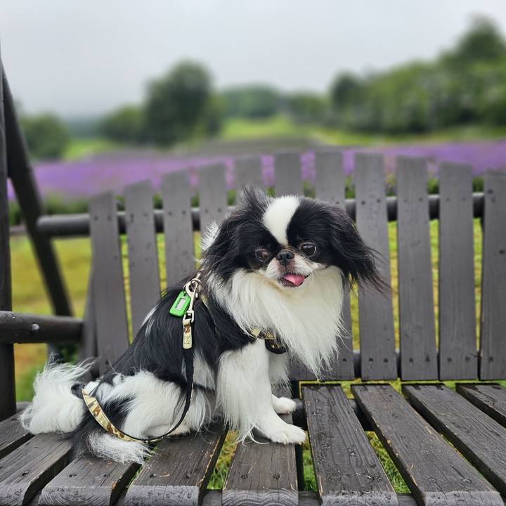 E9a60562 161f 4c43 afca 721b3f0e5b7b 1722426832977