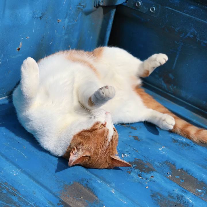 E9a60b96 c78e 4481 aaf0 320df461ea6e 1529042943955