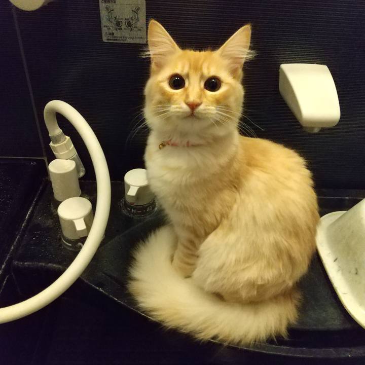 E9a643ae 4f5e 45b2 ba90 ba4d1bb03531 1613657584920