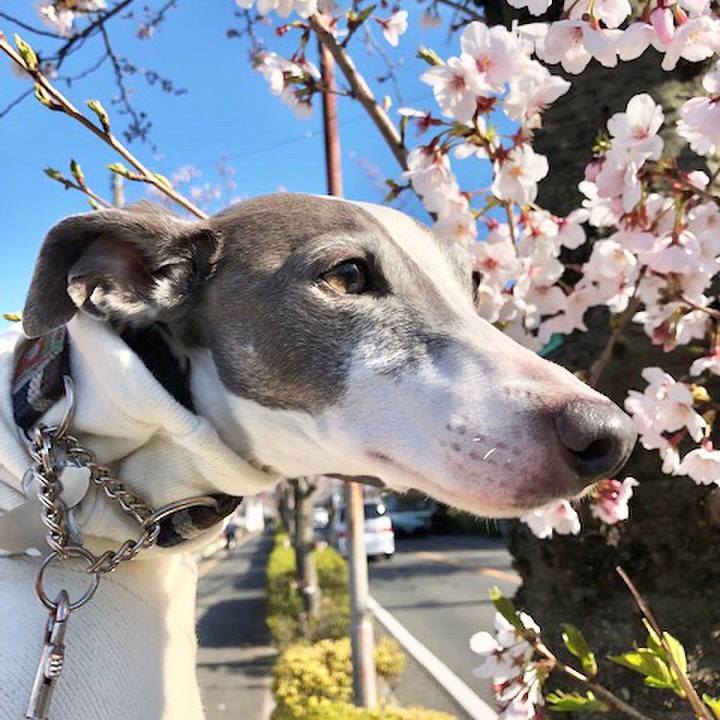 E9a65f41 b515 4843 a16d 455debb7214b 1554289080485