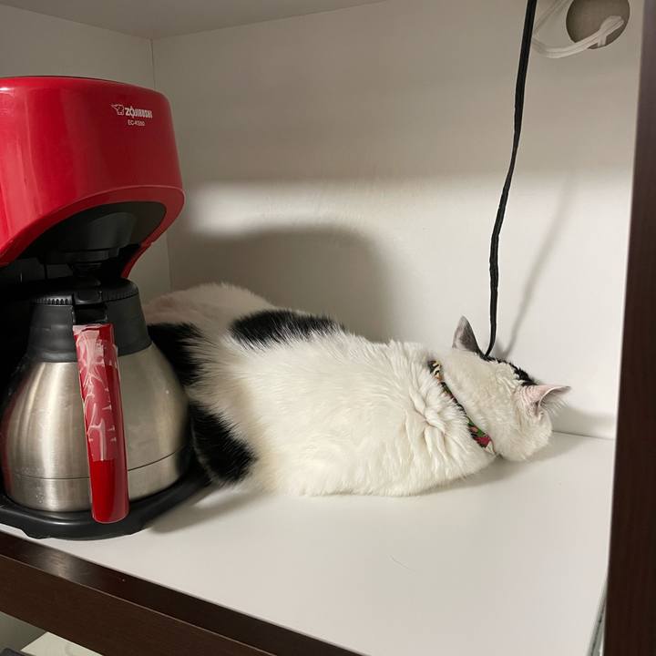 E9a6688f 3aae 404d 9aed a62881aff355 1651231067893