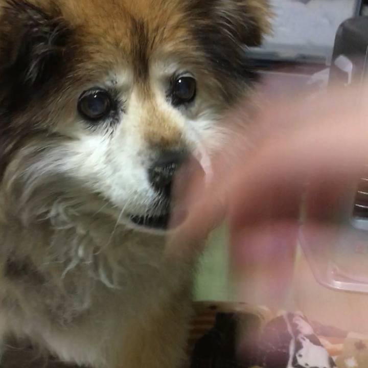 E9a6a8fa 60ac 4470 b414 ba5ca0f639bb 1599176258835