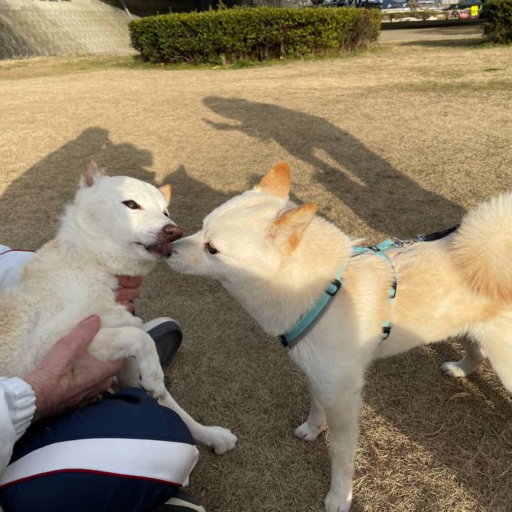 E9a6d657 5347 4ae0 99a3 f8c995201cfb 1676638223559