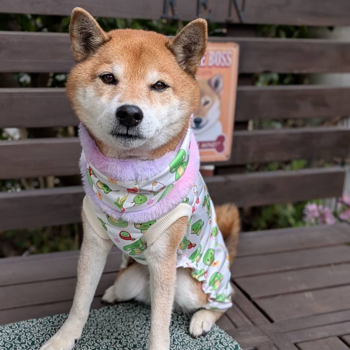 E9a6f8a3 4d51 46ef 9bbe 923d0472ad7c 1736084354970