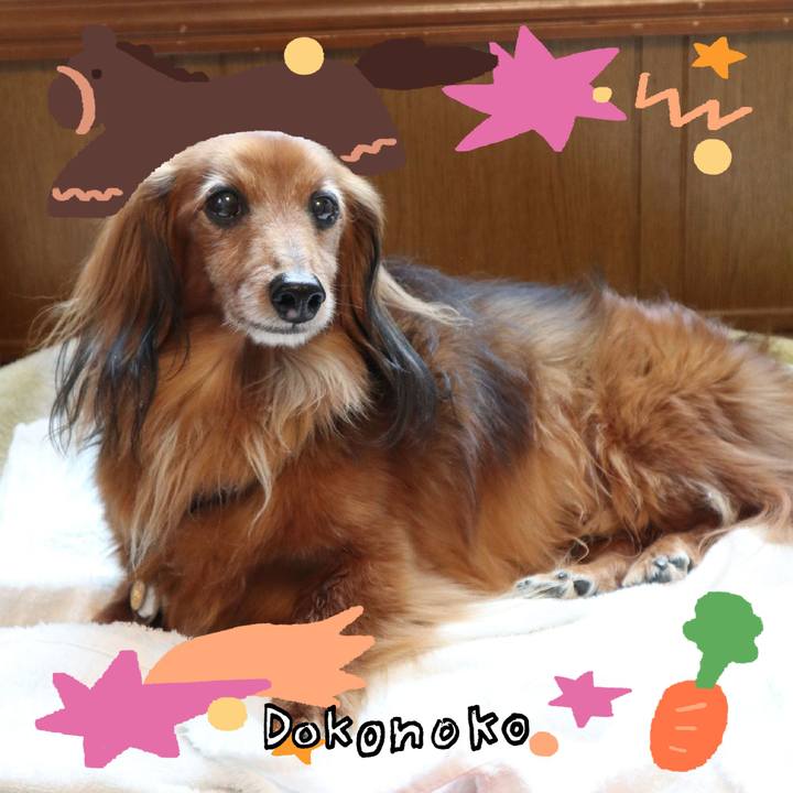 E9a717e2 ac16 4571 a96b f1e3c2a1ec95 1772353189231