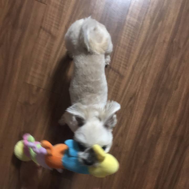 E9a72d62 678a 4f17 bfb3 d8fe5dd4165d 1537701123598