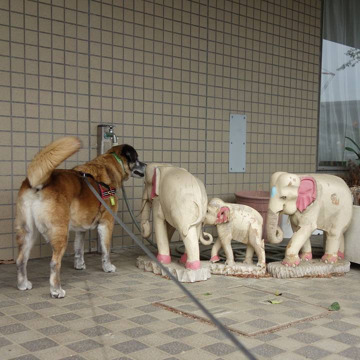 E9a72d70 8944 4466 b19d c2e4f6a53fd1 1668559629296