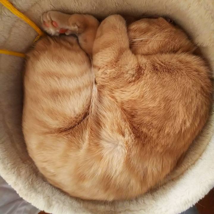 E9a72f94 4c0b 424c af6f f64cde190b2d 1631433434902