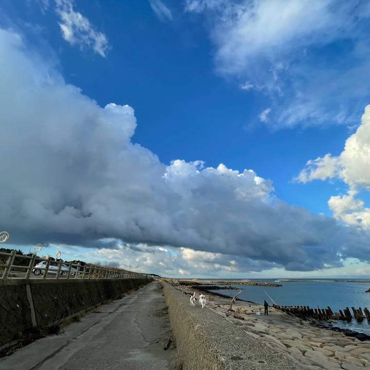 E9a74a0f 59cd 4400 9ea4 f1bfbdb92d4f 1636067942856