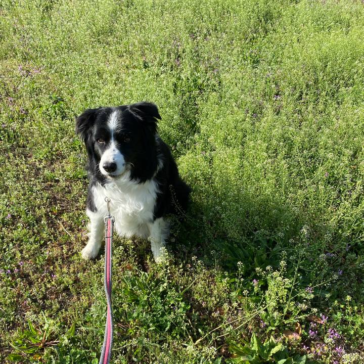 E9a78a3f a790 4776 a4db de049759025e 1647388917942