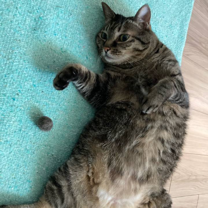 E9a7b3c8 c89b 452d b5cd b5e1865a60ab 1689484953512