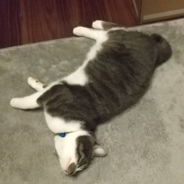 E9a7c58a b98f 4fce 817a 8e73a4a97a7e 1606391141751