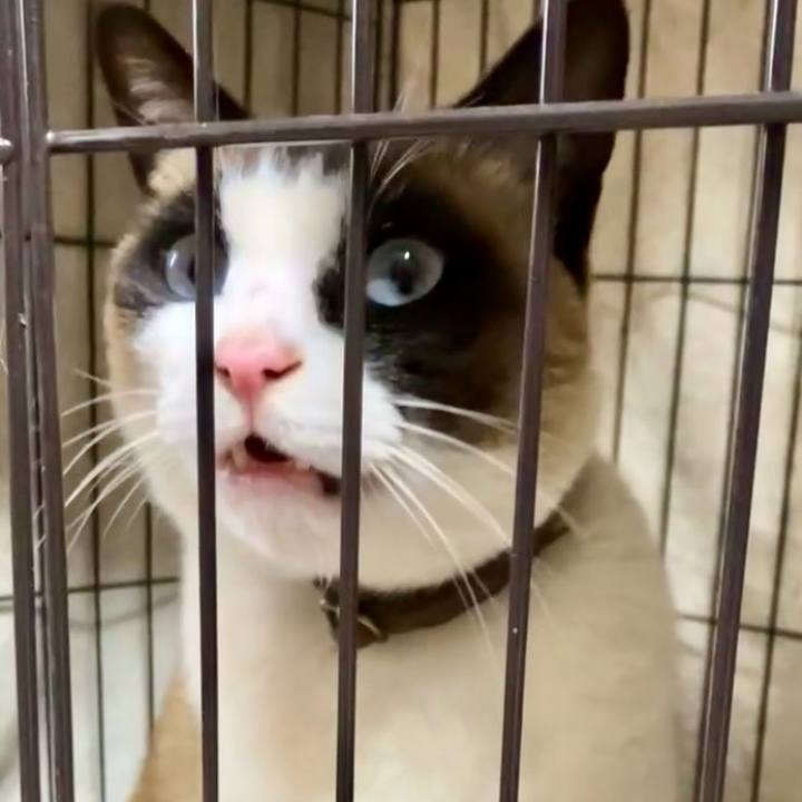 E9a7ff80 0213 4c3b 9a34 07319ea9b354 1742636030103