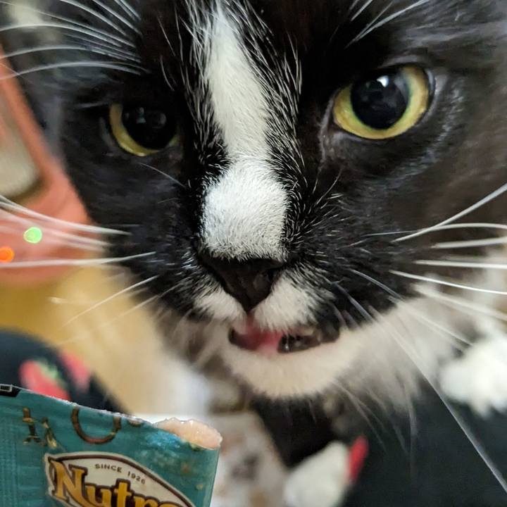 E9a81bb1 b8f7 4880 9a64 678c292e51b4 1675859357120