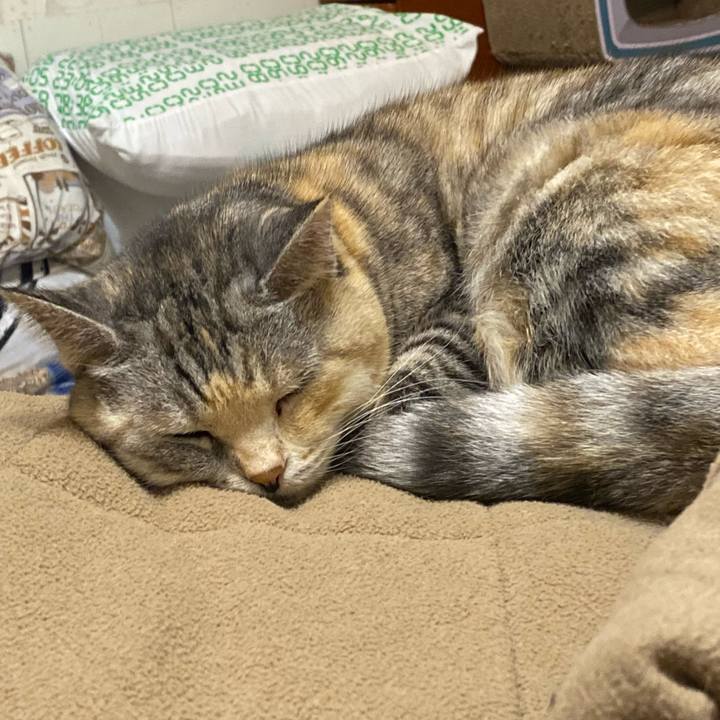 E9a8560d f7e9 48bd 9e09 2c325e1a767a 1669805078748