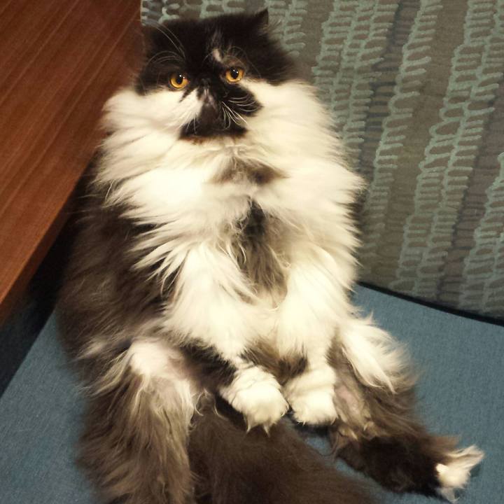 E9a86546 a97c 4f08 97ca 516f3f87308f 1523568756745