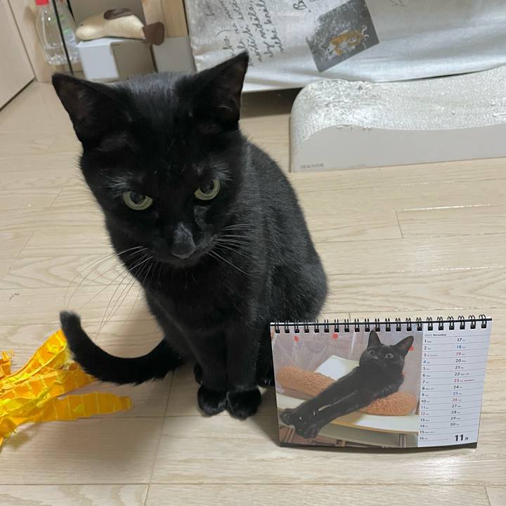 E9a8888c 6e66 4286 a754 260c5e86a531 1701424124549