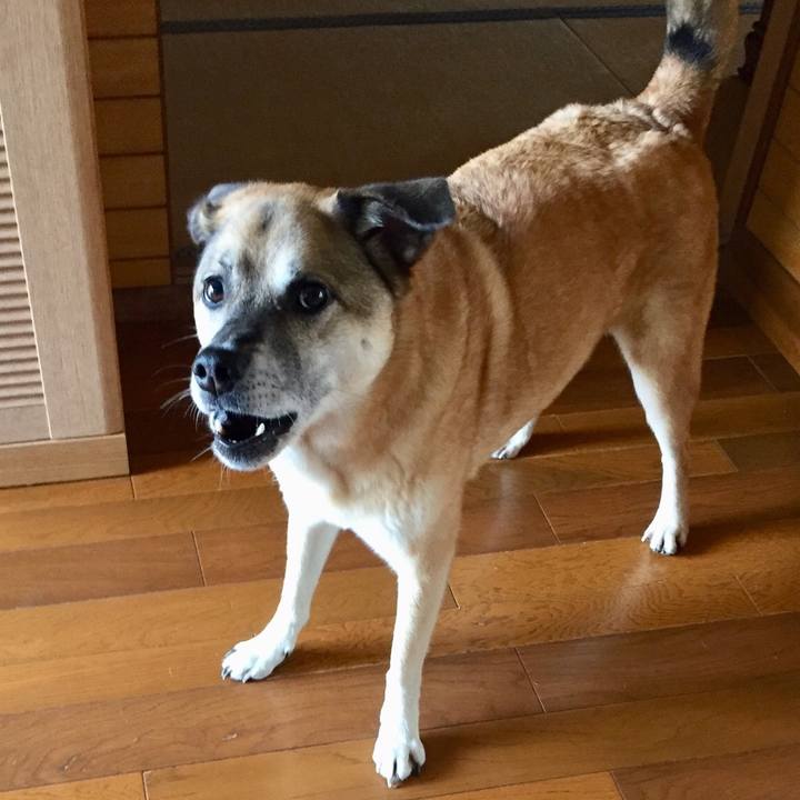 E9a8d764 3219 495a b52d 0a84cc37d6f4 1535458984302