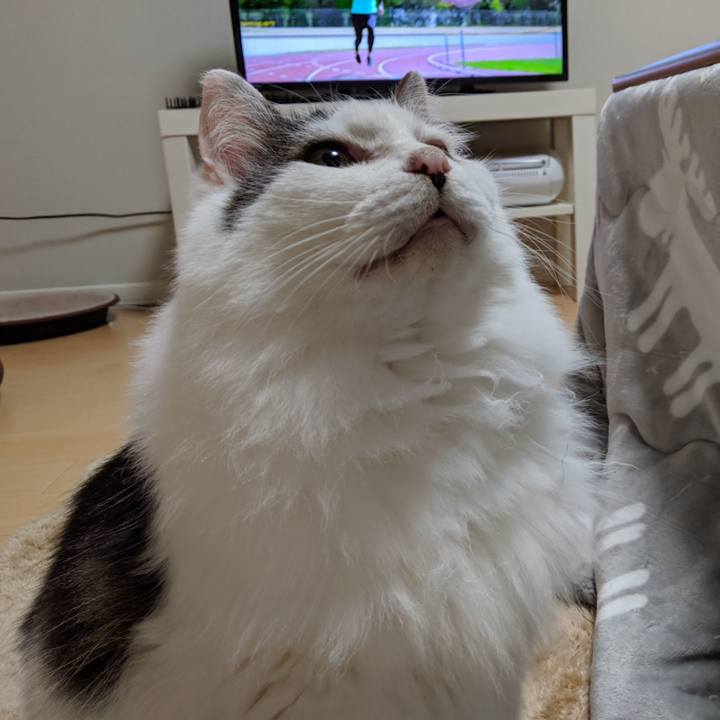 E9a8f451 959e 42e2 85b2 90d6d4f218ab 1558188486382