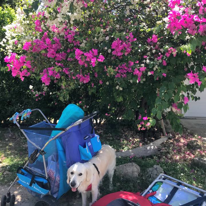 E9a9022c 57fe 45cb 9f5f 5fb3d390dd88 1537761316779