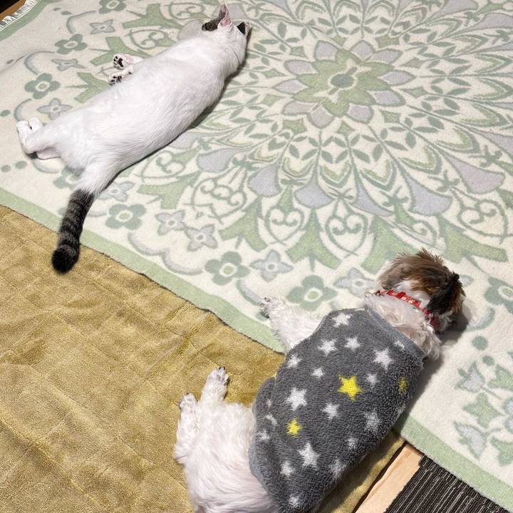 E9a903e3 04ff 4dbb 8395 8d41803448a9 1700999397329