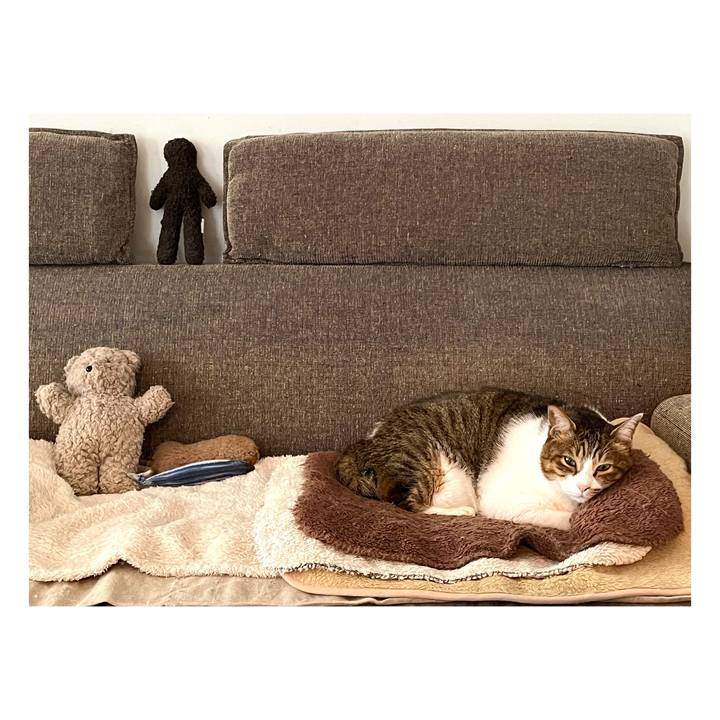 E9a92e4a 8396 44e8 8260 ee9fb8b47825 1671176055973