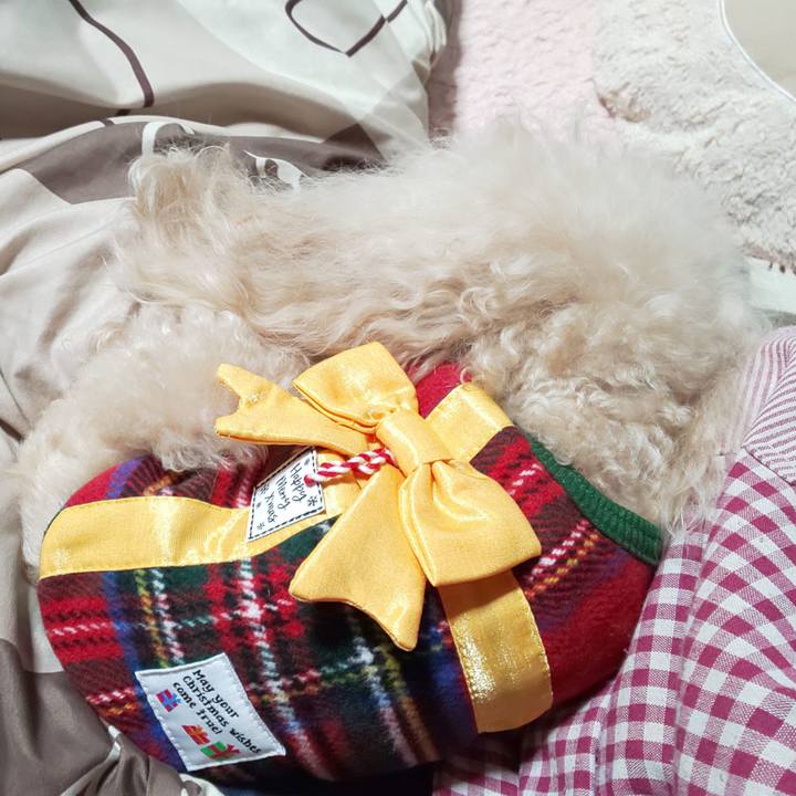 E9a932ee 03cb 4880 ad95 d6ff1366e607 1583664926376