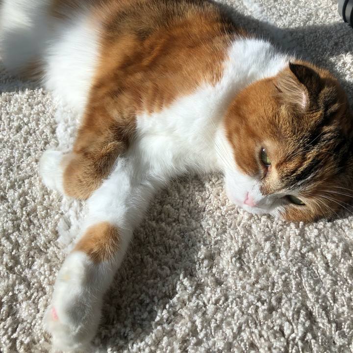 E9a9bf45 4110 494d bda4 917e64e80200 1576379718364