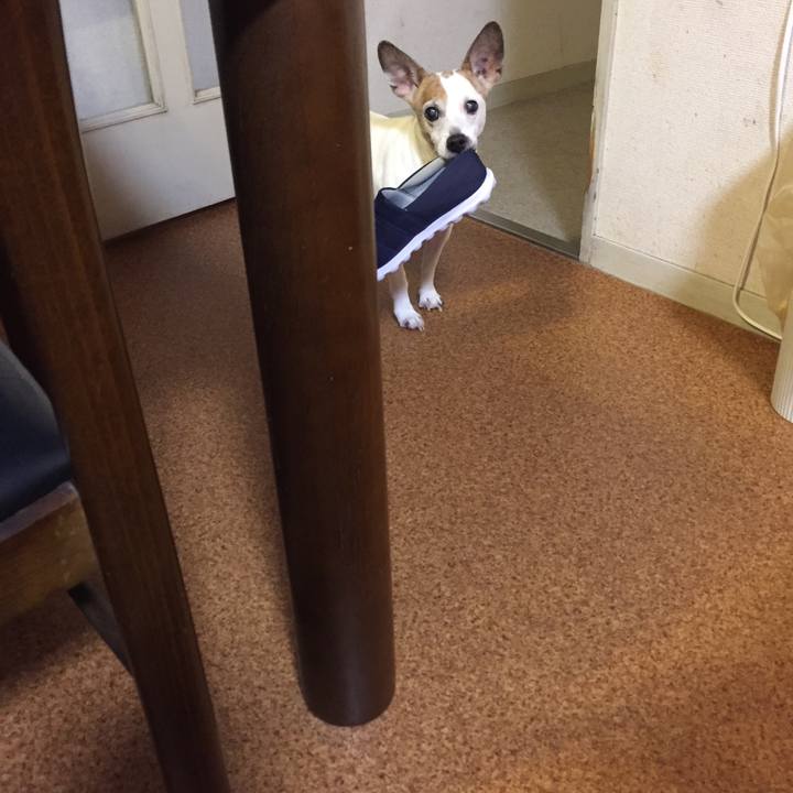 E9a9e7c4 222b 4eb1 a0ff 3c6f54888eb9 1526390235184